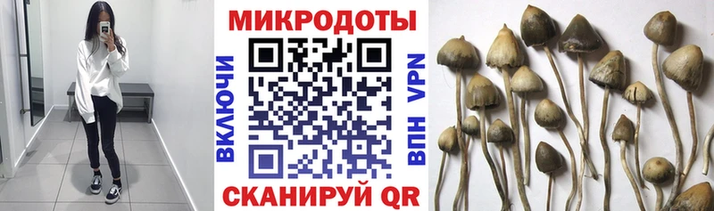 Псилоцибиновые грибы мухоморы  хочу наркоту  Петровск 